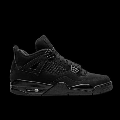 Shoes (Inspired by Air Jordan 4-Retro)